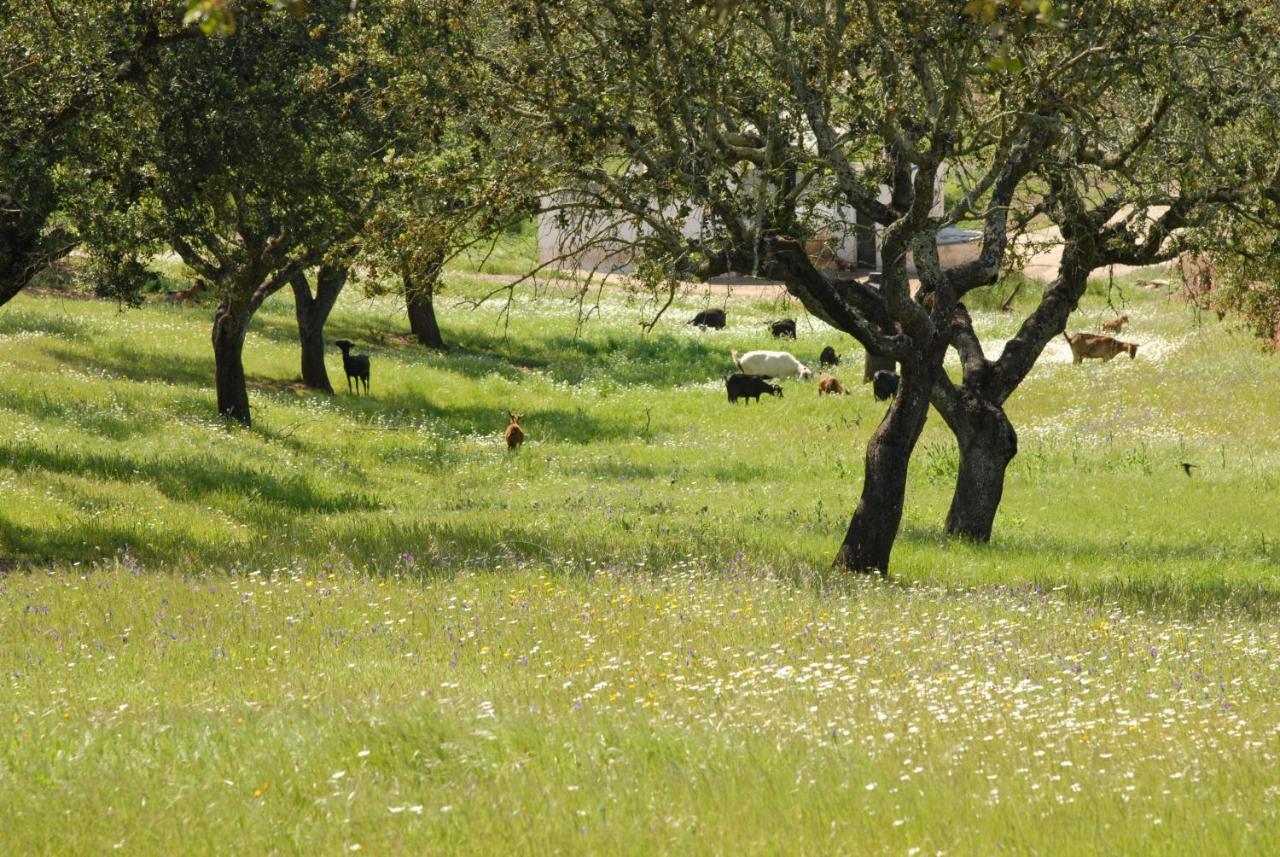 Villa Casa Da Aldeia II Alcaria Ruiva Esterno foto